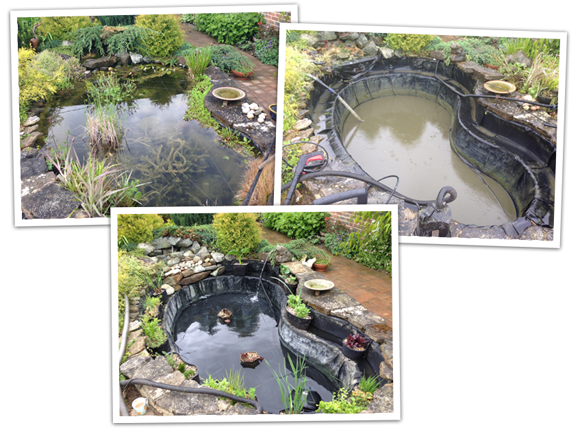 Pond Cleaning in Surrey