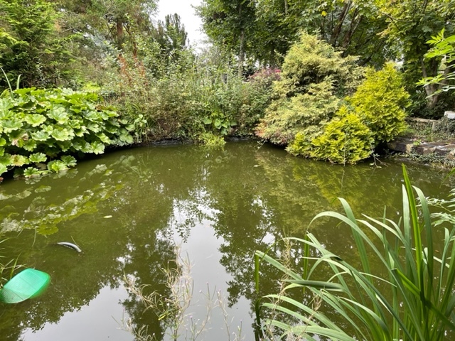 This pond was cleaned in Worthing, West Sussex
