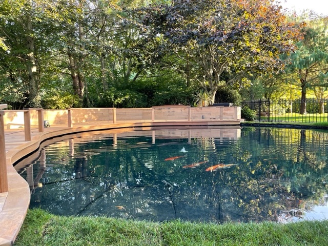 This pond was constructed in Edburton, East Sussex